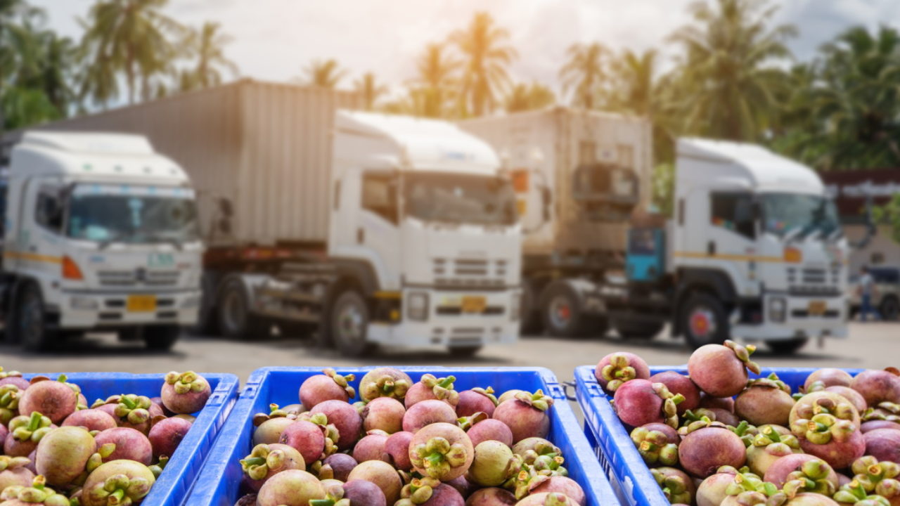 cumpleaños A tientas estoy feliz Transporte de alimentos, ¿Qué cuidados hay que tener en cuenta?